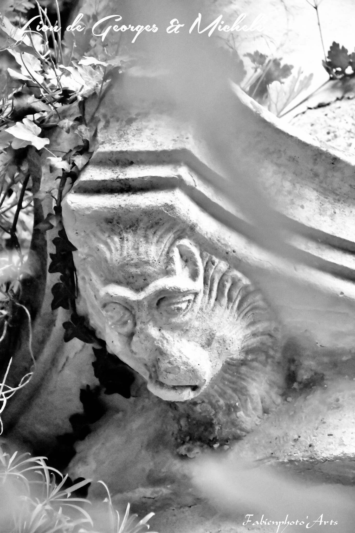 GARGOUILLE ( LE LION DE MICHELE & GEORGES )