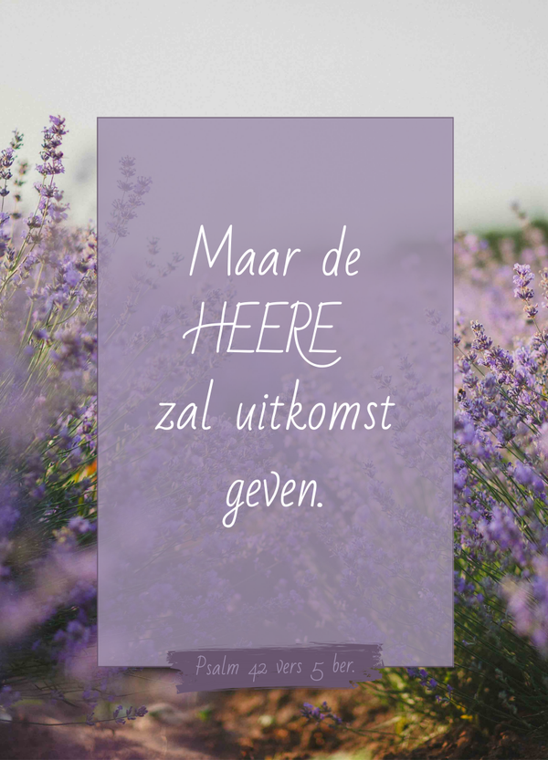 Psalm 42:5 Maar de HEERE zal uitkomst geven
