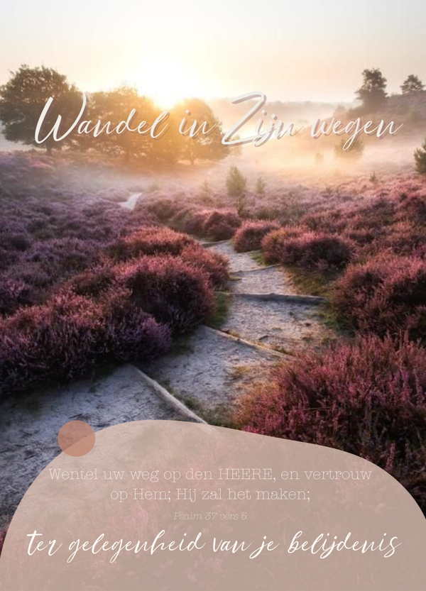 Belijdenis - Wandel in Zijn wegen