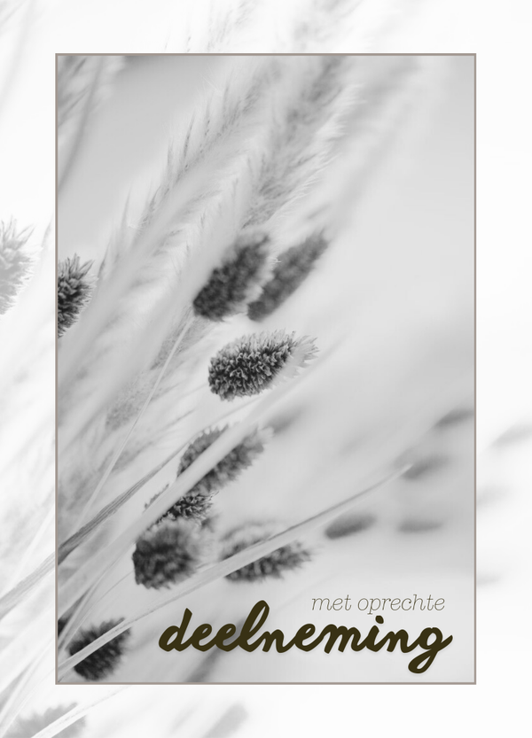 Condoleance - pluimen