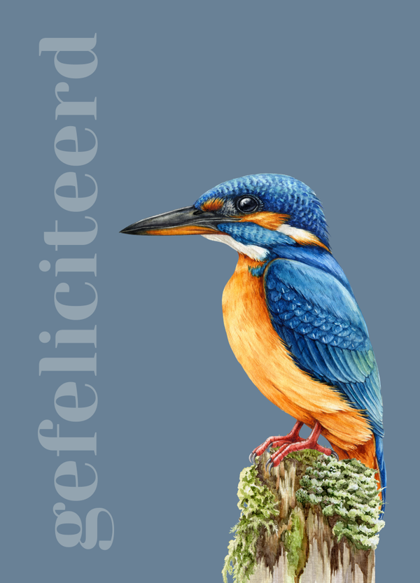 Gefeliciteerd - ijsvogel