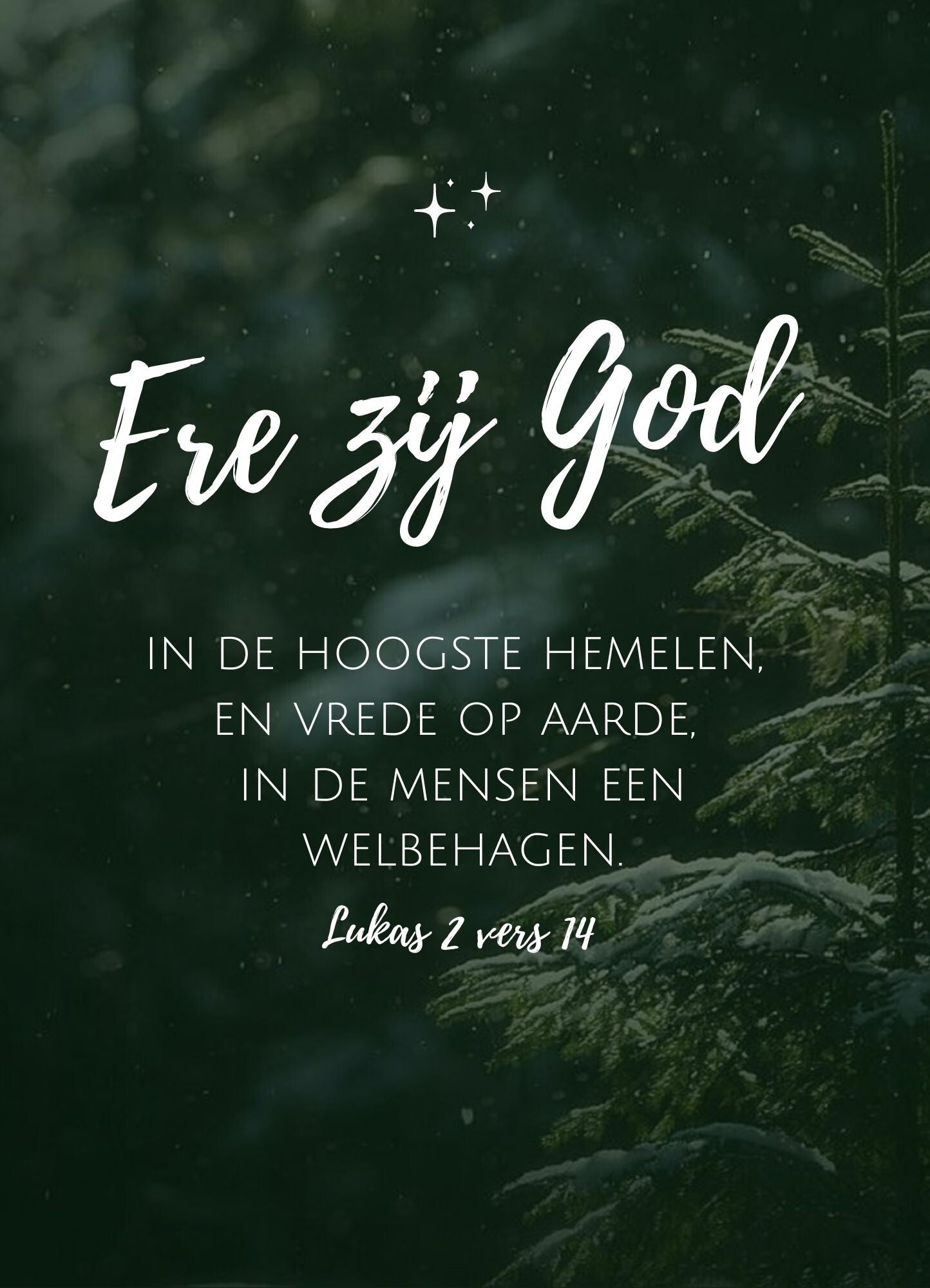 Poster - Ere zij God