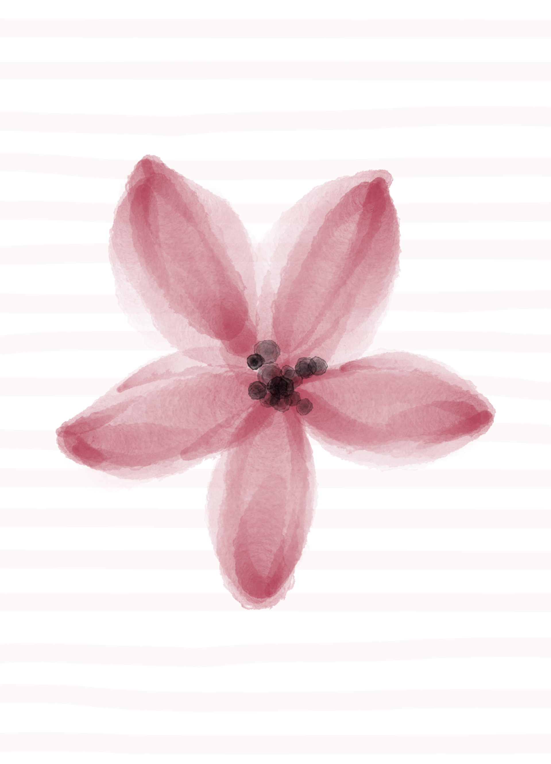 Blanco TG - roze bloem