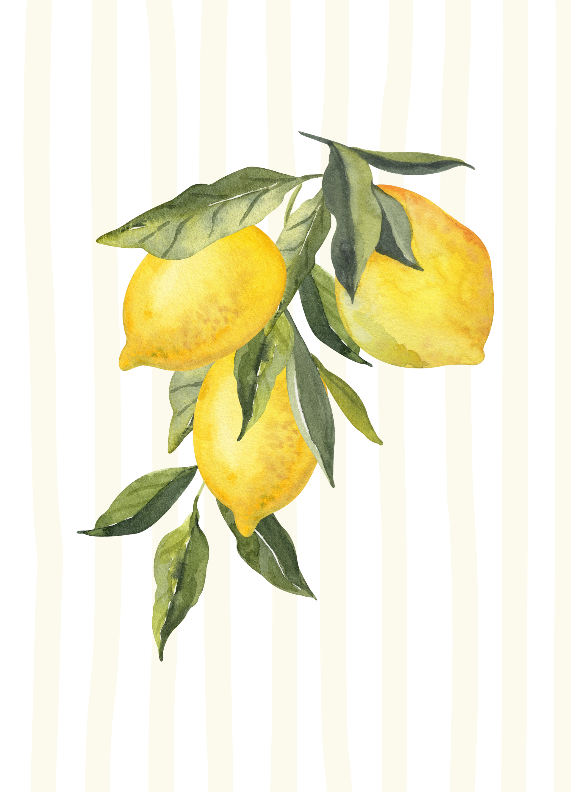 Blanco TG - citroentak