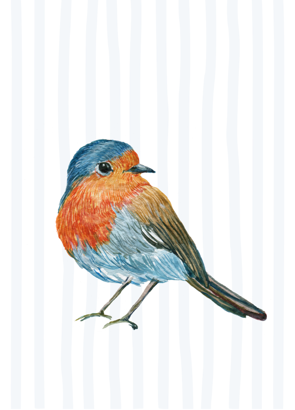 Blanco TG - bonte vogel