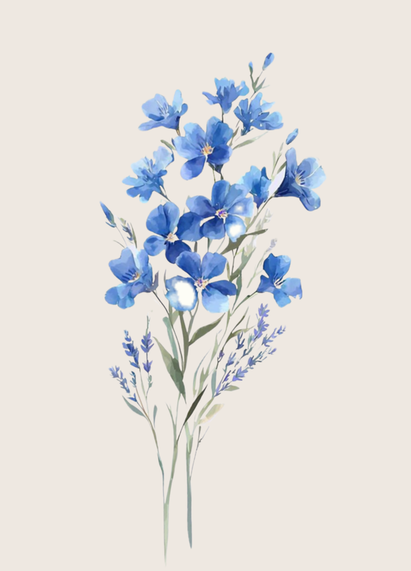 Blanco - blauwe bloemen