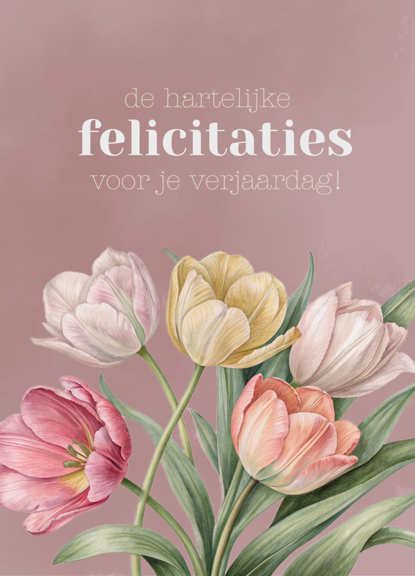 Felicitatie - hartelijke felictaties (tulpen)