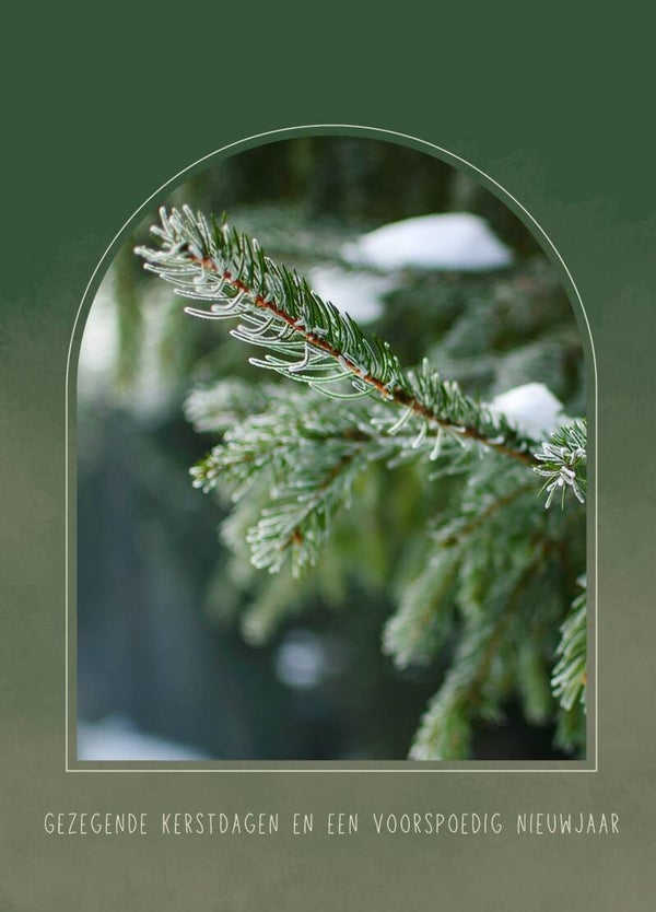 Kerst - dennentak sneeuw