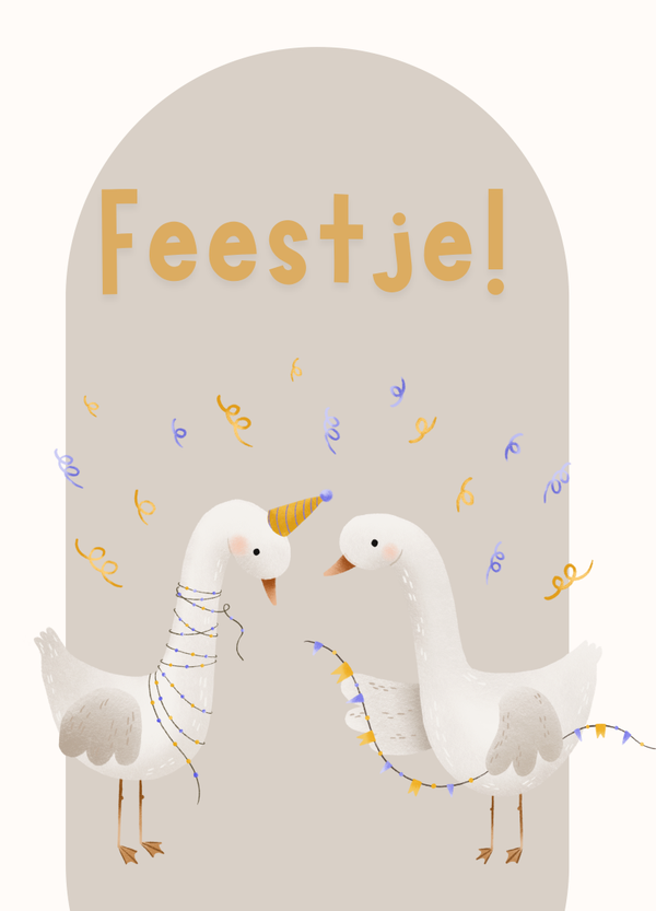 Kinderfeestje - Feestje! Ganzen & confetti