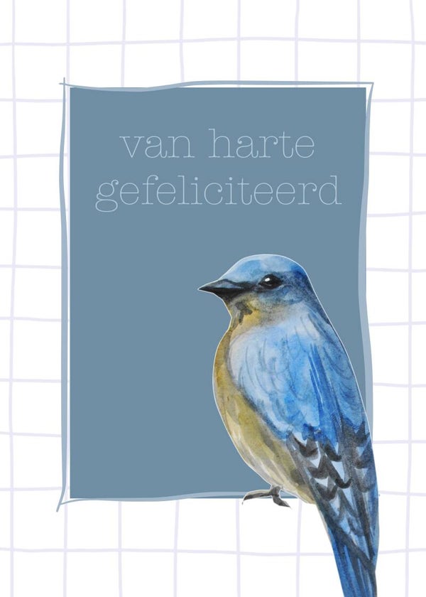 Gefeliciteerd - vogel