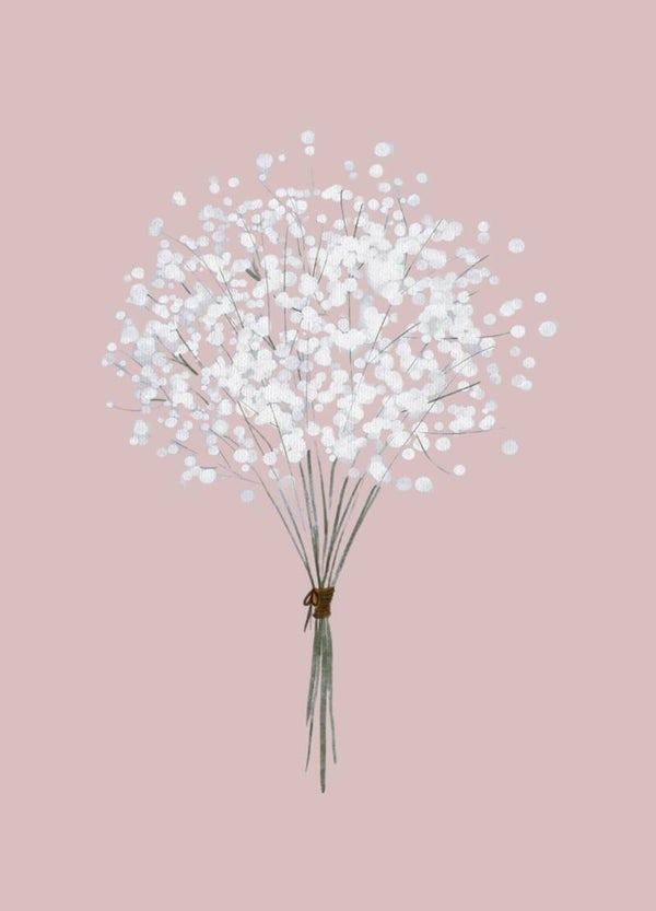 Blanco - gipskruid - roze