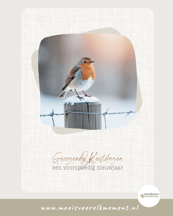 Gezegende Kerstdagen - roodborstje