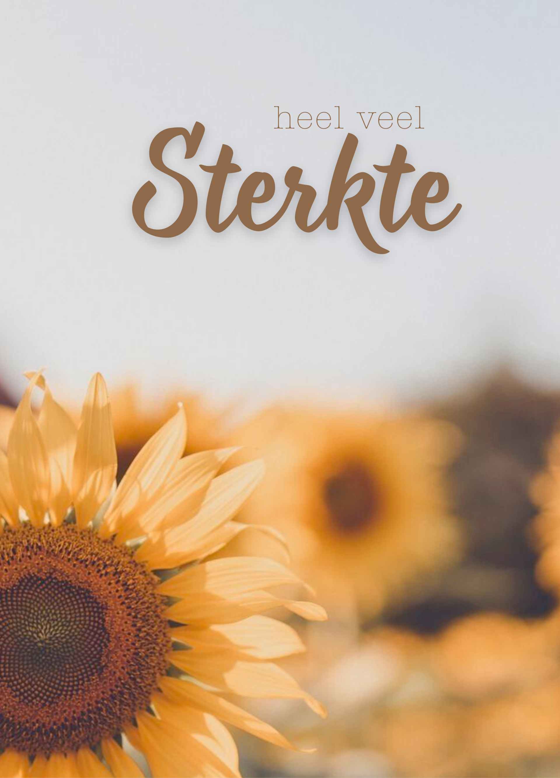 Heel veel sterkte - zonnebloem