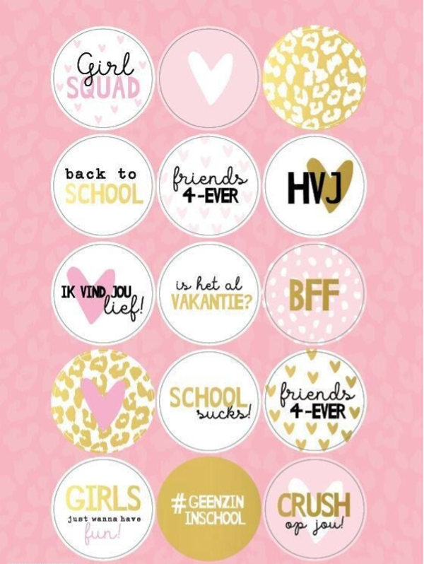 Stickervel 'roze'