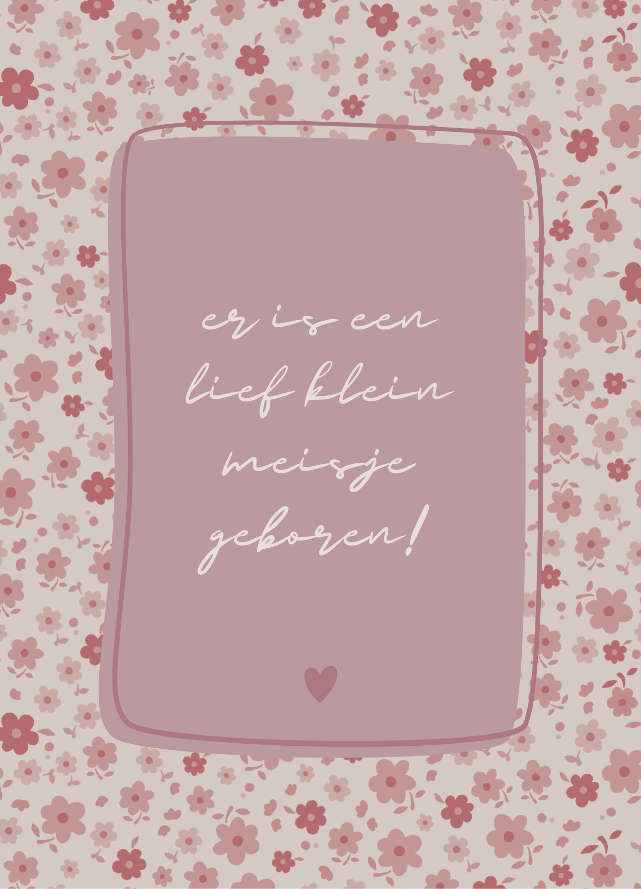 Geboorte - lief klein meisje kader