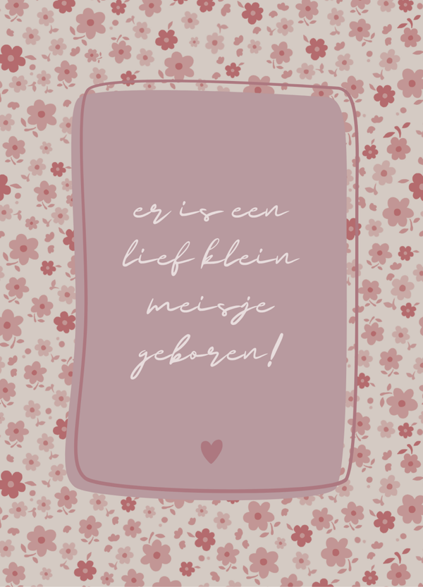 Geboorte - lief klein meisje kader