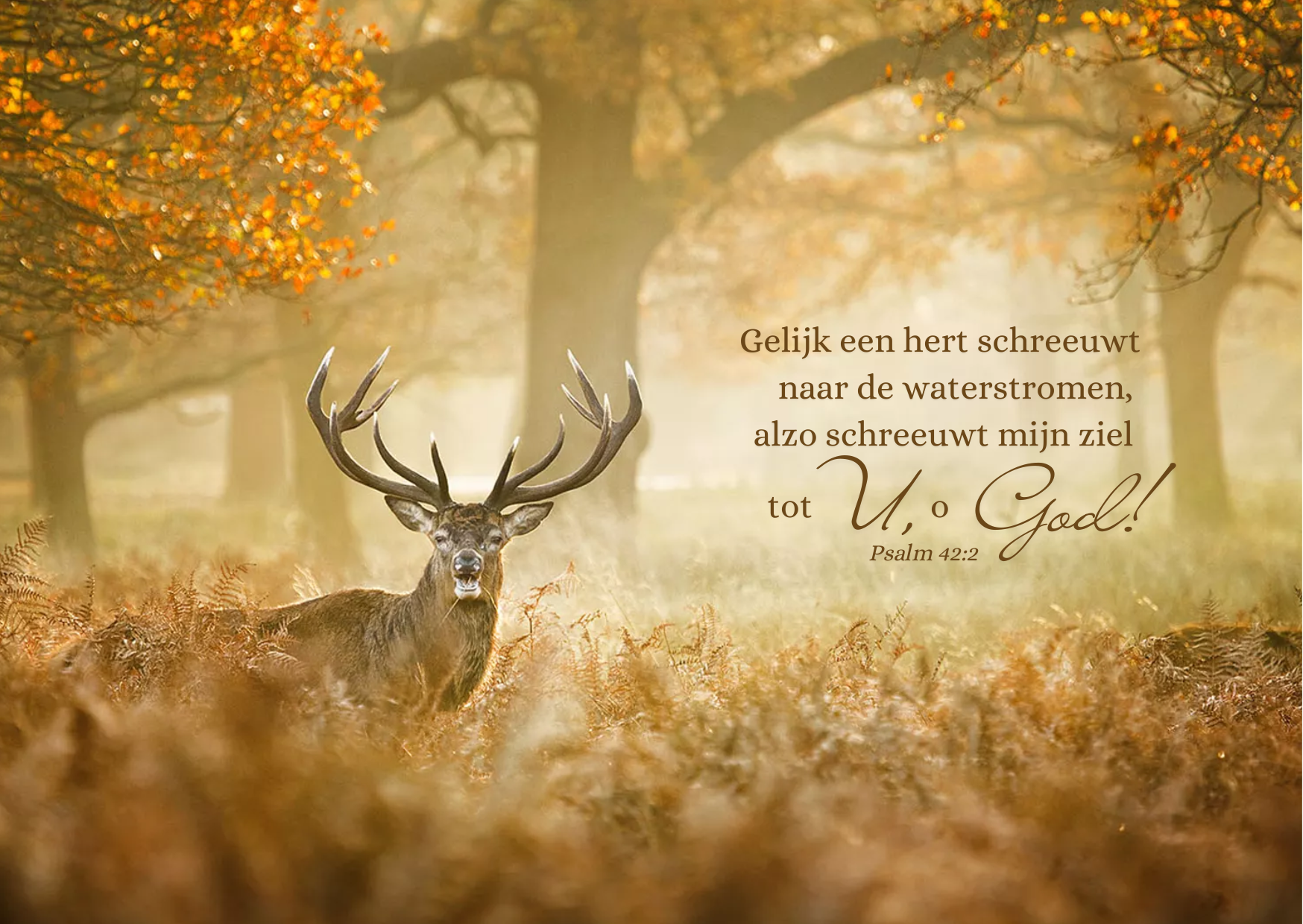 Psalm 42:2 - Gelijk een hert schreeuwt naar de waterstromen