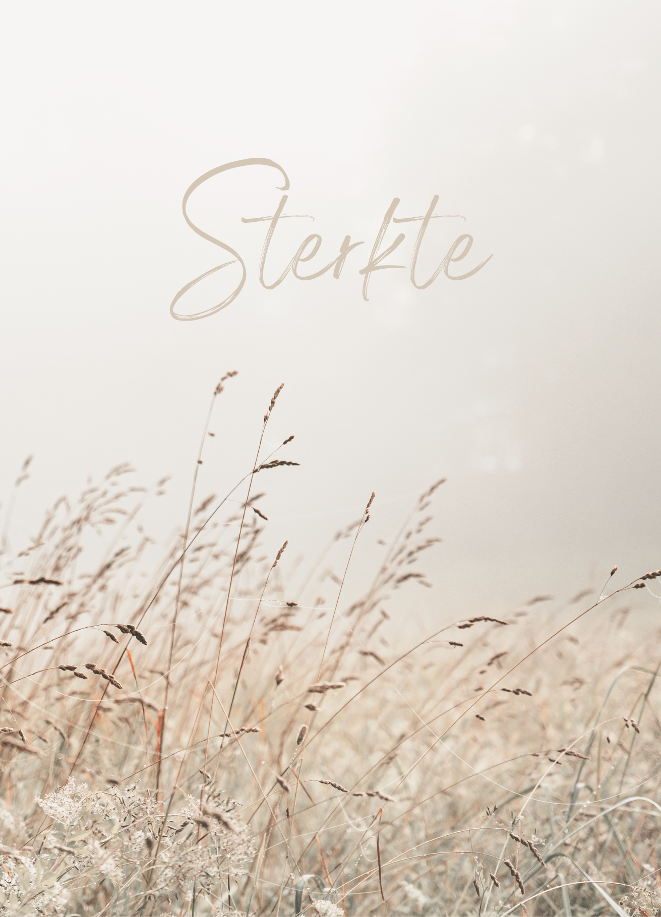 Sterkte - riet (oude versie)