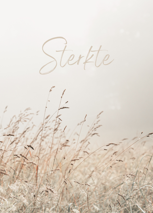 Sterkte - riet (oude versie)