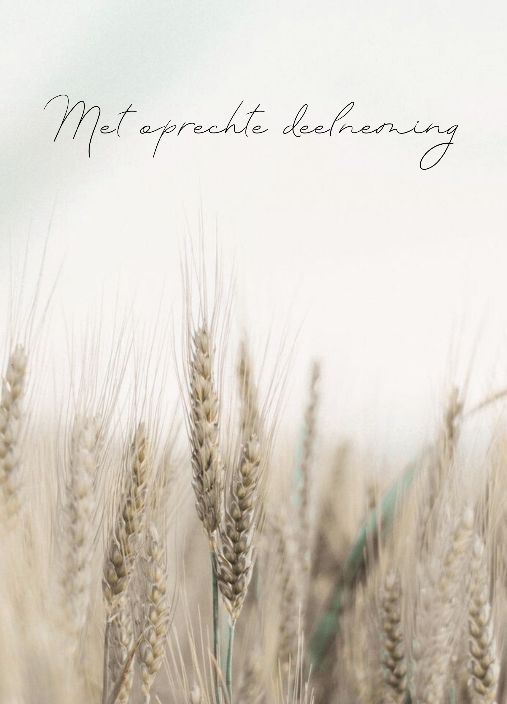 Met oprechte deelneming - korenhalmen