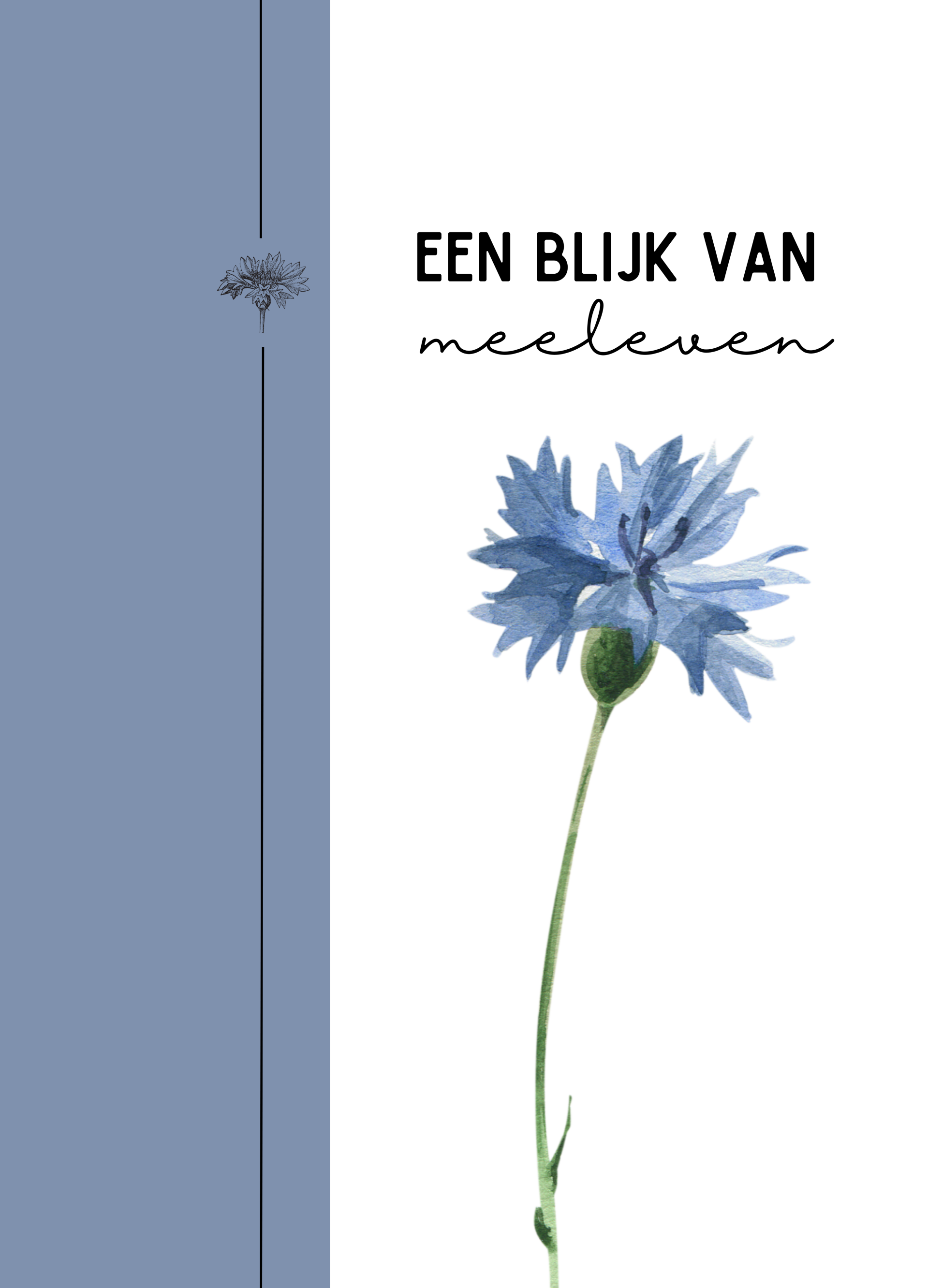Een blijk van meeleven - korenbloem