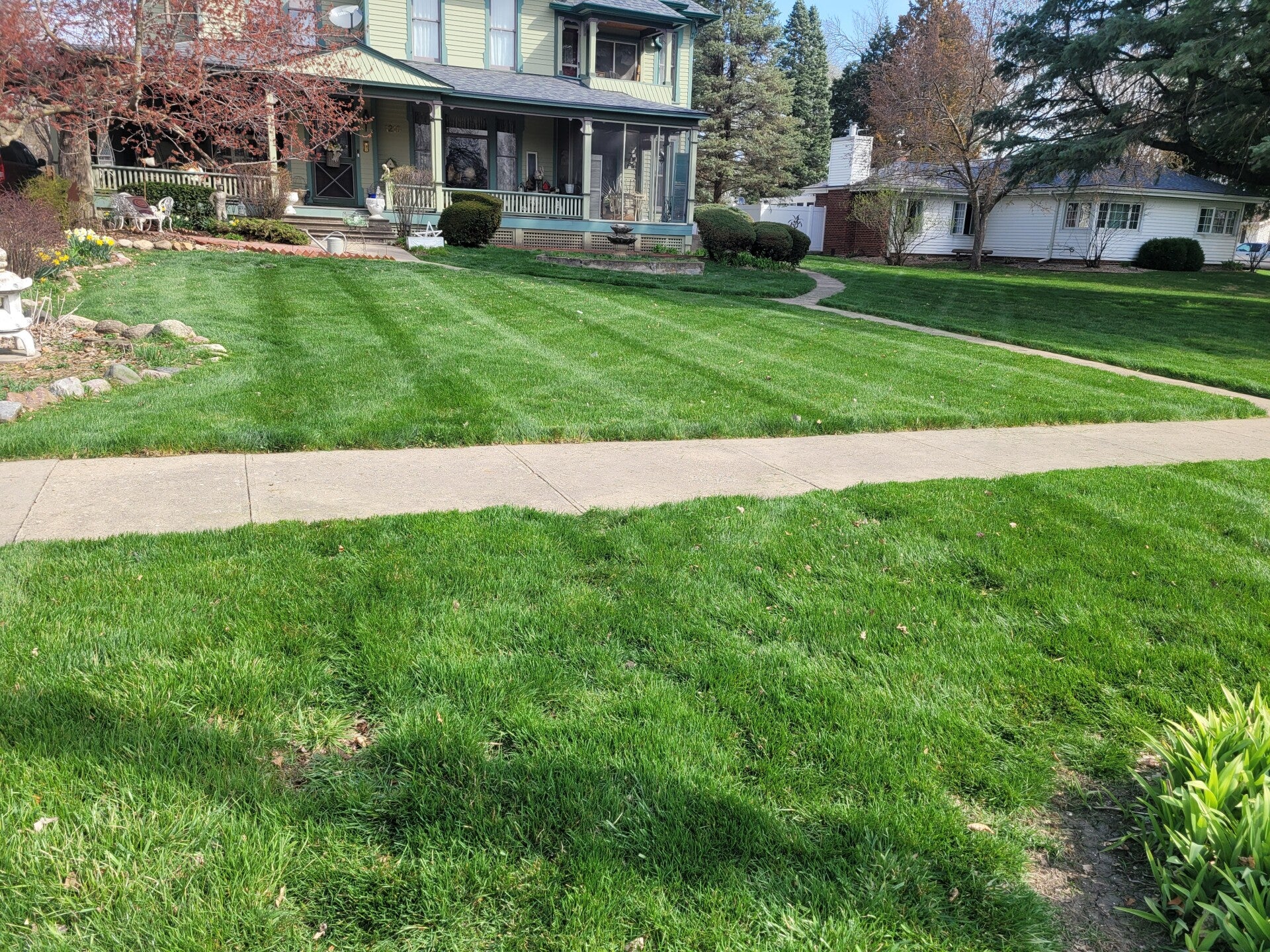 Minton Lawn Care & More LLC