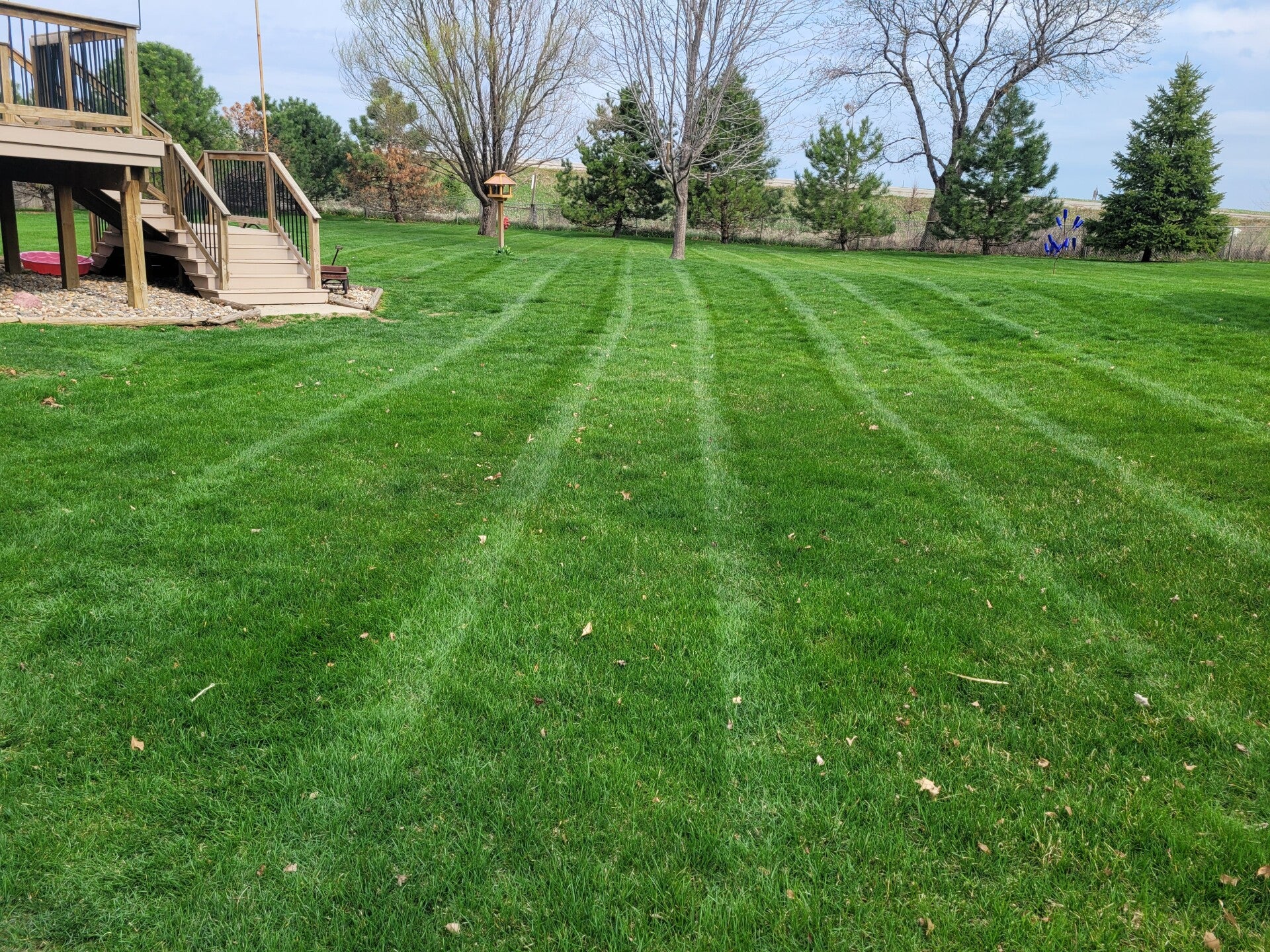 Minton Lawn Care & More LLC