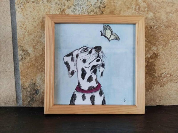 Dalmatiër