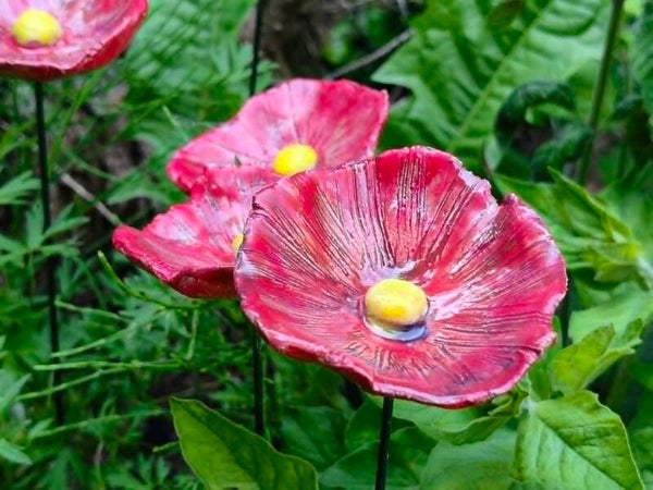 Rode papaver op stok