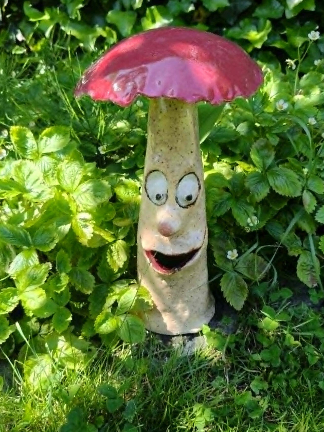 Paddestoel