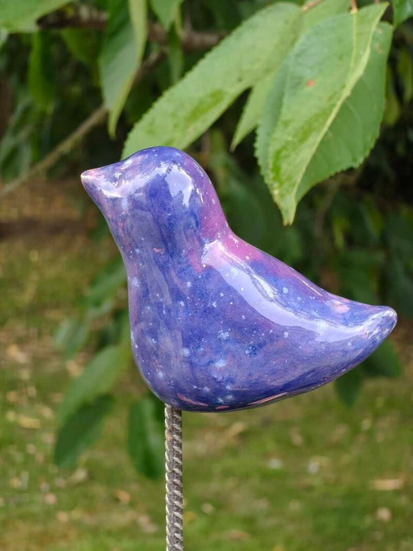 Blue bird