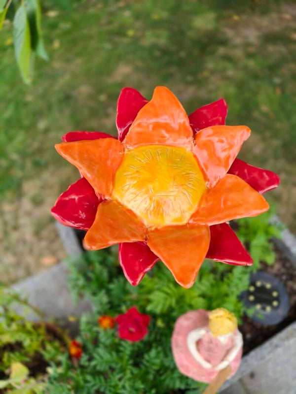 Sterrenbloem rood/oranje
