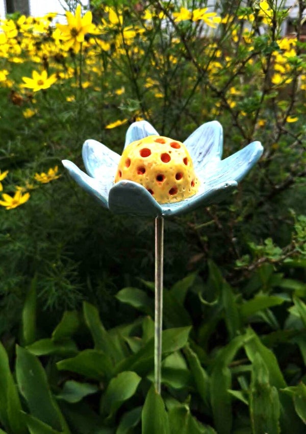 Insectenbloem