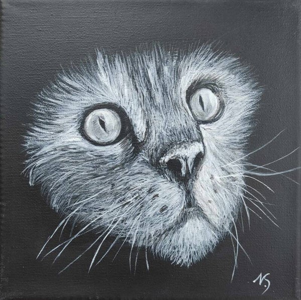 Poes zwart-wit