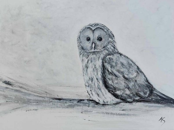 Uil, zwart-wit