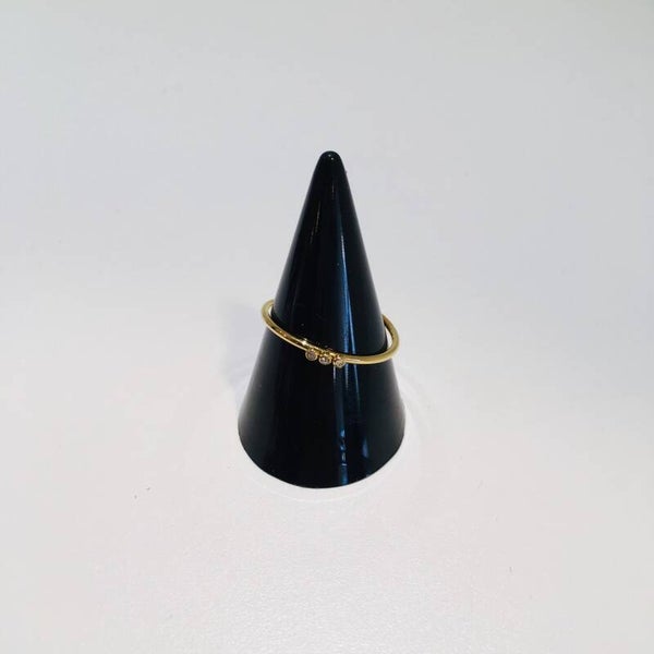 Ring RVS 