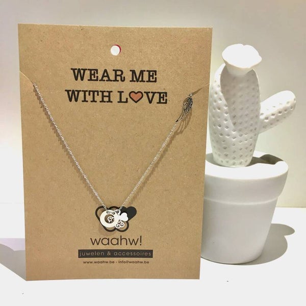 Ketting zilver rvs klavertje