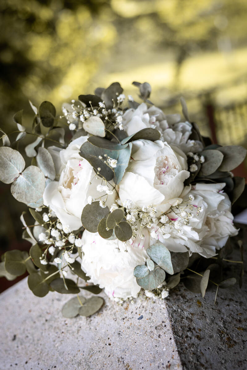 Photographe Le Havre - Normandie