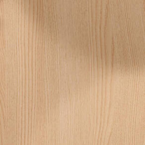 Lepus