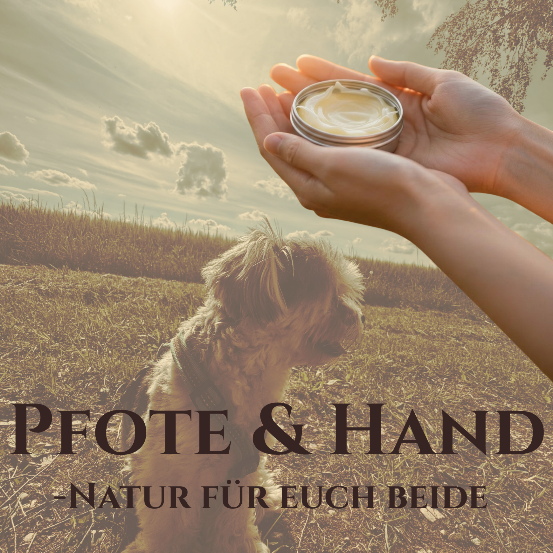 Pfote & Hand - Natur für euch beide
