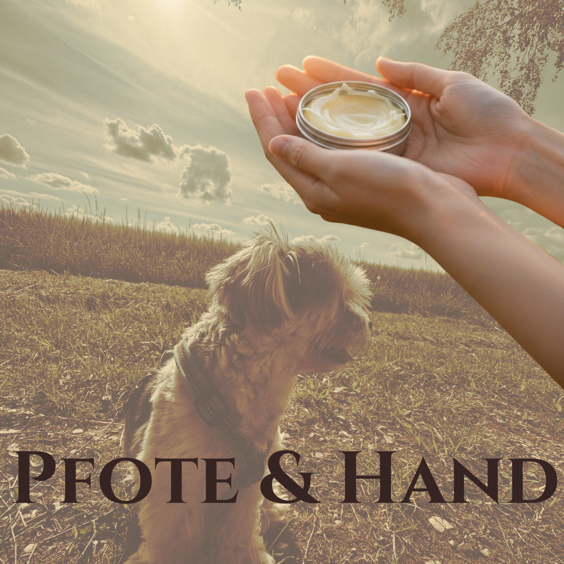 Pfote & Hand