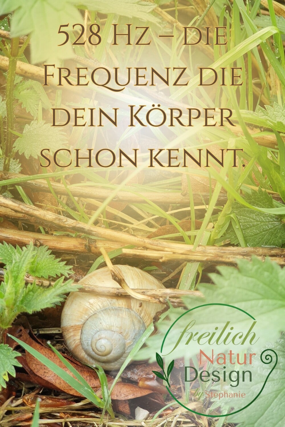 528 Hz - Die Frequenz die dein Körper schon kennt