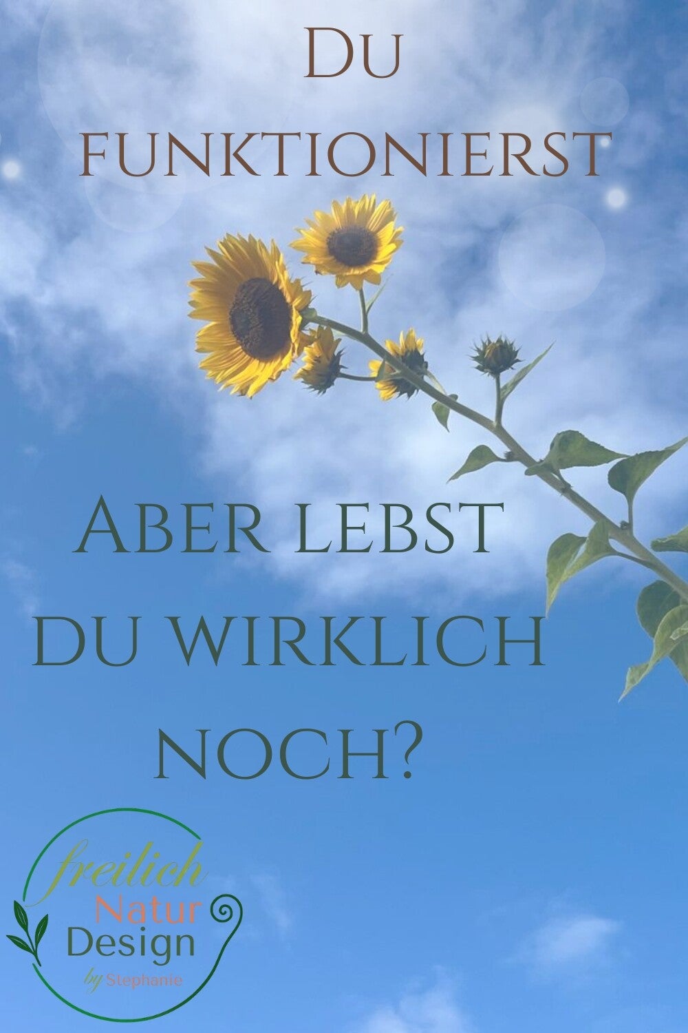 Frau sitzt in der Natur und erfährt Frequenzerhöhung durch Stille und Erdung