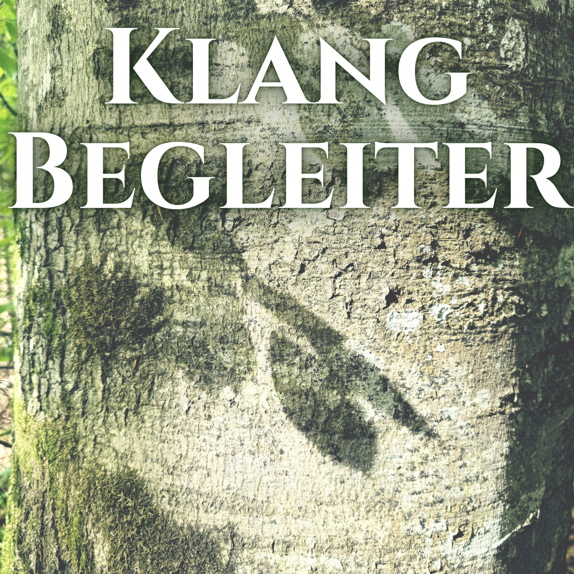 Wilde Kräuter & Die Weisheit der Pflanzen