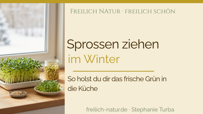Sprossenhaus mit Alfalfa-Sprossen, Keimglas und Kresse am winterlichen Küchenfenster