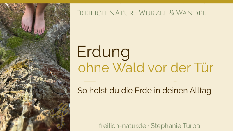 Nackte Füße auf einer bemoosten Baumwurzel – Erdung im Wald