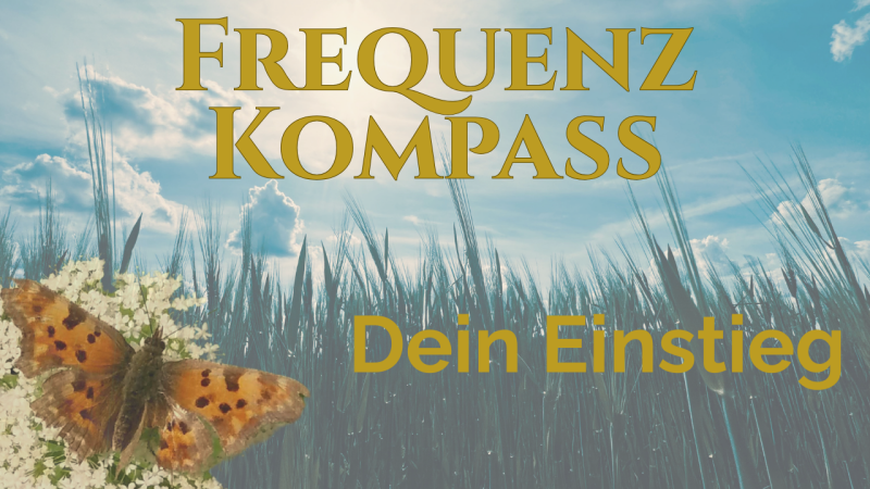 FrequenzKompass_dein Einstieg mit Wurzellicht