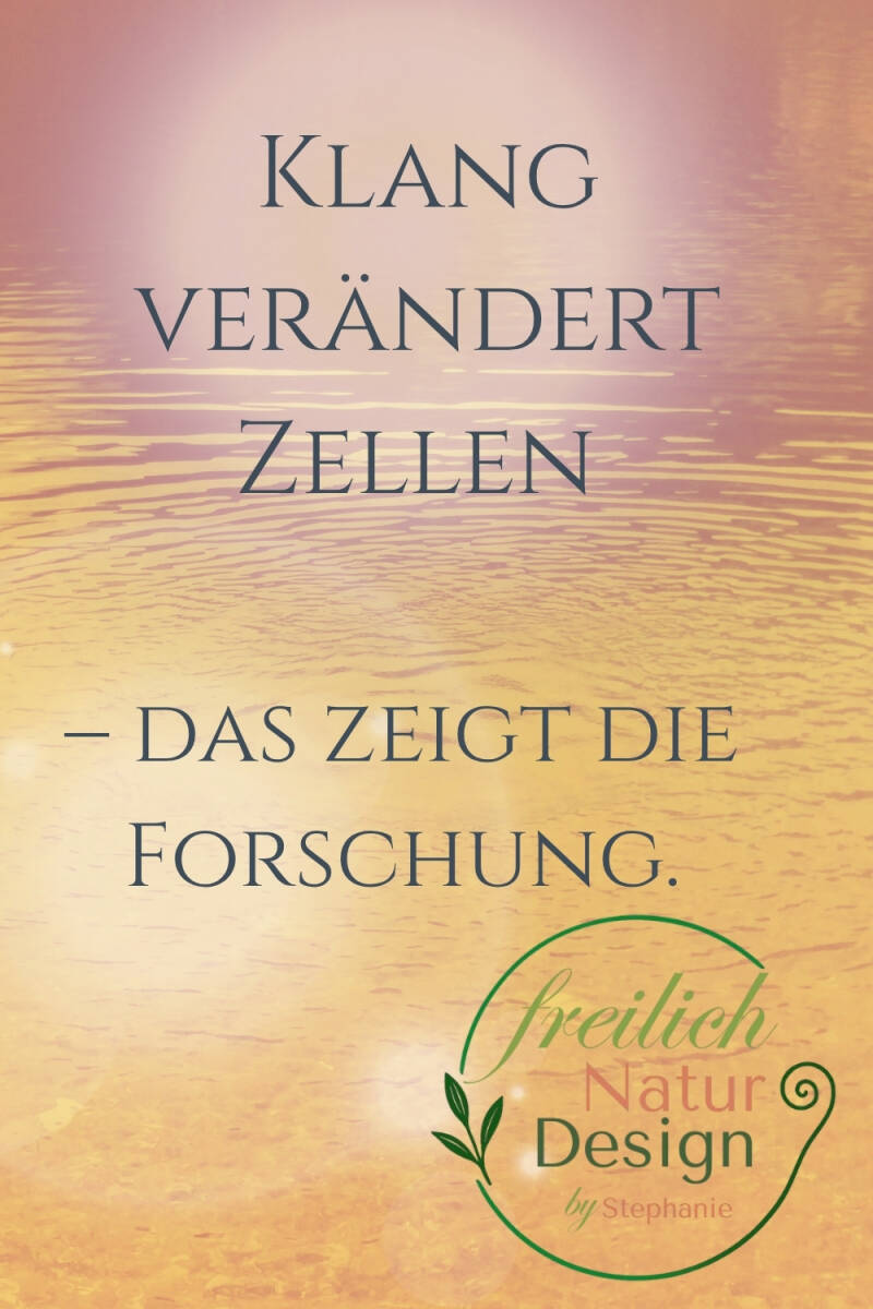 Klang verändert Zellen - das zeigt die Forschung