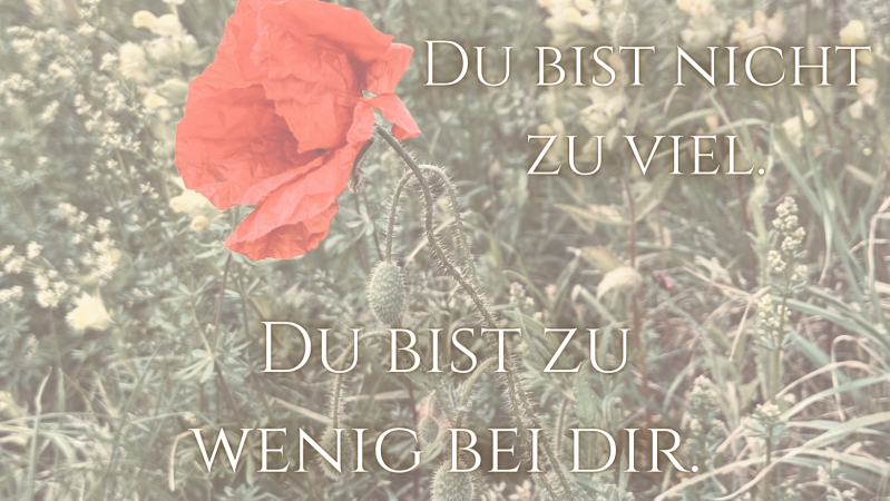 Du bist nicht zu viel. Du bist zu wenig bei dir.