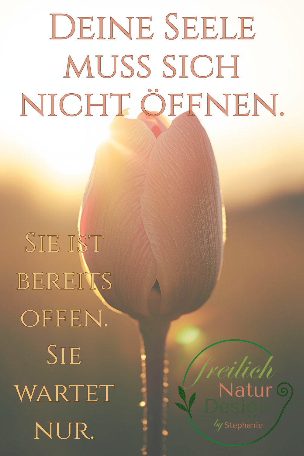 Dein Nervensystem reagiert auf Klang. Immer.